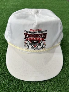 Vintage 90’s Youngstown State University (YSU) Penguins SnapBack Hat Football  - Picture 1 of 11