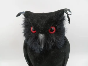Lebensechte schwarze Halloween Eule rote Augen Dekoration - Bild 1 von 8