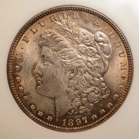1897 P NGC MS 63  MORGAN Silver Dollar GENERATION 4 **FATTY SLAB** 2008 Cover