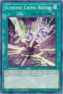 Sunvine Cross Breed x3 LIOV-EN099 Yu-Gi-Oh! TCG 1st ed Common Playset - Picture 1 of 1