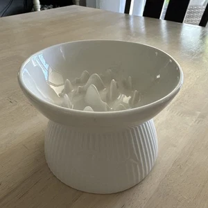 Raised Ceramic Slow Feeder Bowl, Upgraded Ridges to Prevent Vomiting, Cat/Dog - Picture 1 of 13