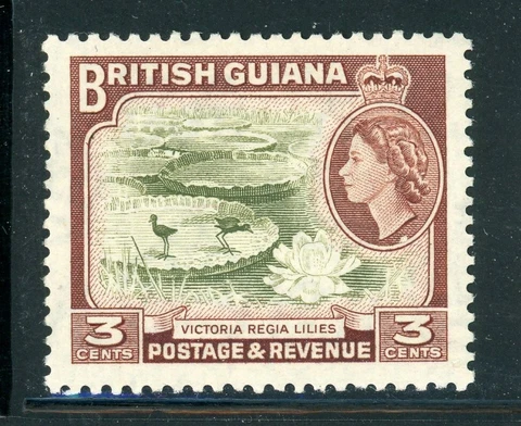 BRITISH GUIANA 255 SG333 MH 1954 3c QEII Definitive Victoria Regia Lilies CV$4 Cover