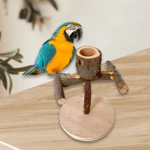Wooden Perch Toy Parrot Perches Playing Training Toy Bird Tree Stand Bird - Picture 1 of 7