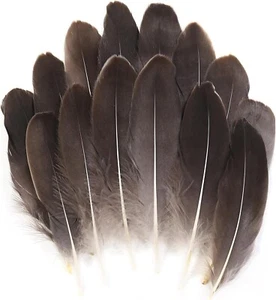Color: Natural ulk - 120Pcs 6-8 Inch Real Goose Feathers for DIY Hallo, NEW - Picture 1 of 6