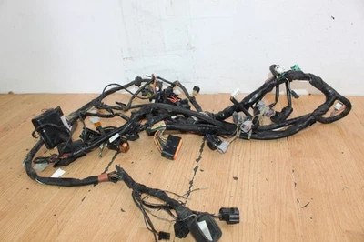 Suzuki GSX-R600 2007 arnés de cables/arnés de cableado principal Foto 1 de 4
