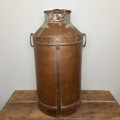 Batidora de leche galvanizada grande - jardinera ideal / utilería de boda Foto 1 de 4