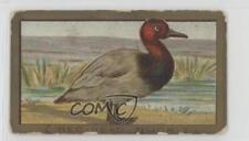 1910 ATC Bird Series T42 Mecca Factory 649 Red-Head Duck 0d08