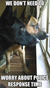 Deutscher Schäferhund Kühlschrankmagnet 3" x 5" Made in USA - Bild 1 von 1