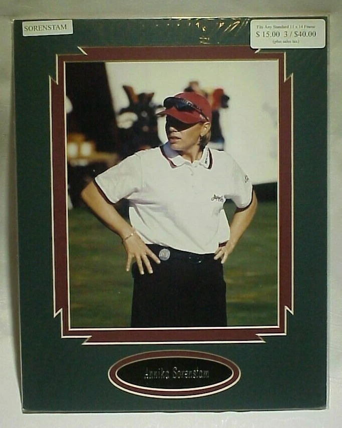 Placa de identificação e foto fosca personalizada Annika Sorenstam Golf 11x14 pronta para moldura  - Imagem 1 de 1