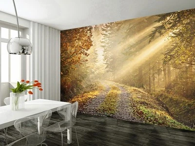 Mural De Pared Gigante 315x232cm Bosque De Otoño Camino Naranja Amarillo - Imagen 1 de 4