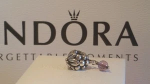 Pandora Silver Amethyst Grapes Bunch Purple Charm Red Wine 790481AM - Imagen 1 de 1