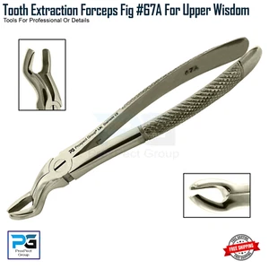 Surgical Dental Extraction Forceps Fig.67A Upper Wisdom Surgical Forceps Pinzas - Picture 1 of 8