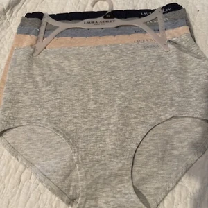 5 Laura Ashley Panties Brief Underwear Rayon Nylon Spandex Solid Size XL - Picture 1 of 11