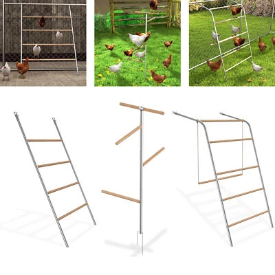 Premium Hühnerspielplatz Leiter mit Schaukel & Sitzstange aus Holz und Stahl Neu - Bild 1 von 4