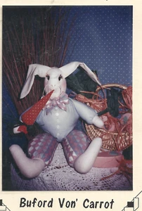 The Country Quayle Pattern-Buford Von' Carrot-14" Sitting Rabbit - Picture 1 of 1