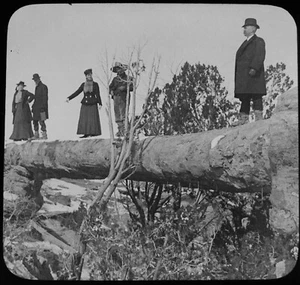 ANTIGUA Linterna Mágica Diapositiva PUENTE DE REGISTRO BOSQUE PETRIFICADO ARIZONA C1910 FOTO EE. UU. - Imagen 1 de 2