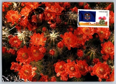 #4324 Flags of Our Nation Utah FDC Maxi Card w/Pict Cancel - Image 1 of 2