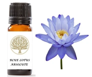 100% Pure Blue Lotus Absolute Oil - Picture 1 of 8