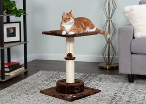 ebay scratching post