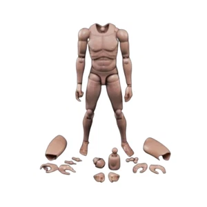 MX02-A Escala 1/6 Europa Piel Hombre Figura Cuerpo Modelo Juguete Apto para Cabeza con Cuello - Imagen 1 de 16