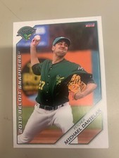 Michael Danielak 2019 Beloit Snappers Team Card