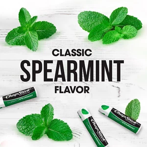 Bulk Lip Balm, Classic Spearmint Confezione da 12 - Crema Idratante Labbra Fresca e Rinfrescante... - Foto 1 di 12