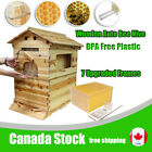 Auto Wooden Bee Hives Langstroth Honey House Box + 7 Beekeeping Frames Equipment