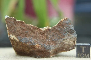 Gatuto Meteorite from Kenya Fell on 4/24/2020 witnessed fall 60g partial cut - Picture 1 of 5