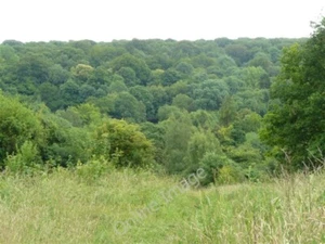 Photo 6x4 Park Downs, Chipstead Banstead From this picture, it is easy to c2009 - Bild 1 von 1