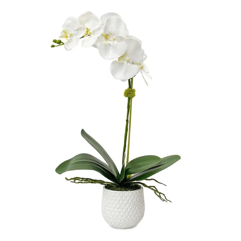 Uttermost 60178 Cami Orchid 24" Tall Ceramic Faux Flora Planter - White - Image 1 of 4