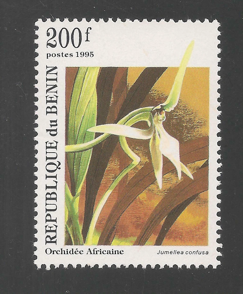 Benin #800 (A257) VF MNH - 1995 200fr Jumellea Confusa Orchid - Image 1 of 1