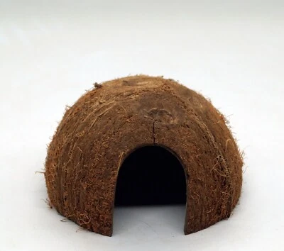 TOP Aquarium Deko 🍀 KOKOSNUSS HÖHLE 🍀 Terrarium Dekoration Zubehör Welse Nager - Bild 1 von 3