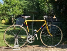 raleigh banana 531c