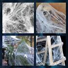 Halloween Decorative Glow-in-the-dark Spider Cotton Spider Web Silk Haunted Hou♡