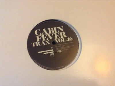 Cabin fever trax volume 16 - limited edition 12" vinyl . Strictly rhythm mint — 第 1/4 张图片