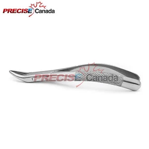 DENTAL EXTRACTING FORCEPS 62, DENTAL INSTRUMENTS SUPPLY - Picture 1 of 3