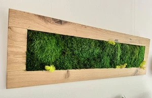 Moosbild 109x 34 cm Waldboden Flachmoos Islandmoos Eiche geölt Echtholzrahmen - Bild 1 von 9