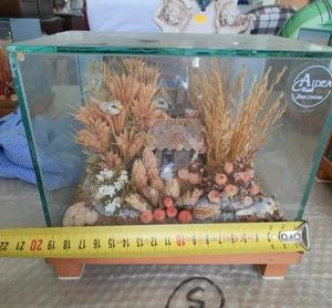 Diorama Artigianale con Casetta e Fiori Secchi in Teche di Vetro Vintage - Foto 1 di 3