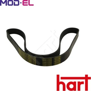 VRIBBED BELT 369 009 FOR IVECO DAILY/Bus/III/Platform/Chassis/Van/VI RENAULT - Picture 1 of 6