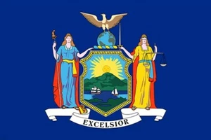 political symbolic historic official NY STATE FLAG POSTER collectors 20x30 - Picture 1 of 1