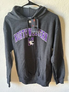 Fanatics Men's Charcoal Northwestern Wildcats Campus Pullover Hoodie Small NWT - Picture 1 of 4
