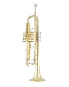 Trompeta Bach BTR411 Bb - Laca transparente - Imagen 1 de 5