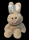 HTF Animal Adventure Tan Bunny Rabbit Plush Cream Ears Sweet Sprouts 2015 Lovey 