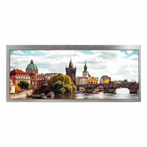 12.3in HSD123KPW1 HSD123KPW2LCD Screen Backlight  WLED 1920x720 12.3" LCD Panel - Picture 1 of 3