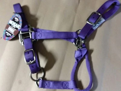 PEQUEÑO TEJEDOR 1" NYLON CABALLO CABESTRO CON hardware de estaño PÚRPURA mosiac ajuste Foto 1 de 3