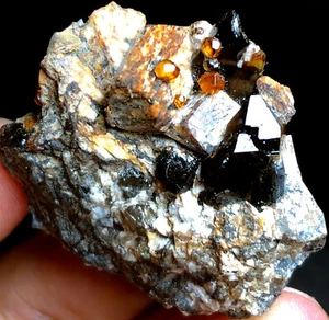 23g Brand new Rare Black SMOKY QUARTZ Crystal Point&Garnet Spessartine f711 - Picture 1 of 8