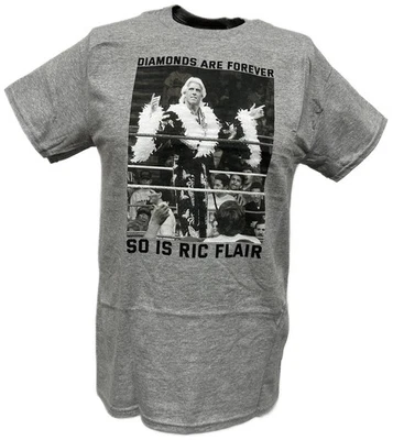Ric Flair Diamonds Are Forever WWE Mens Gray T-shirt - Image 1 of 4