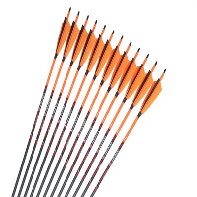 12Pcs Archery Carbon Arrows Spine250-600 ID6.2mm 5"Turkey Feather Traditionl Bow - Image 1 of 4