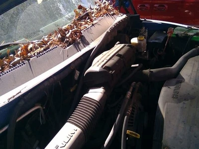 Automatic Transmission 4WD 8-360 5.9L Fits 98-99 DODGE 1500 PICKUP 3592087 - Image 1 of 4