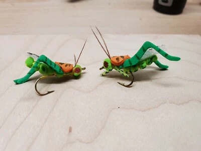 Mosca tolva de espuma 3D (verde, cal, naranja) Foto 1 de 4